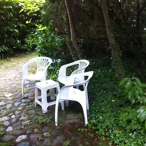 Apartment Gemütl. Und